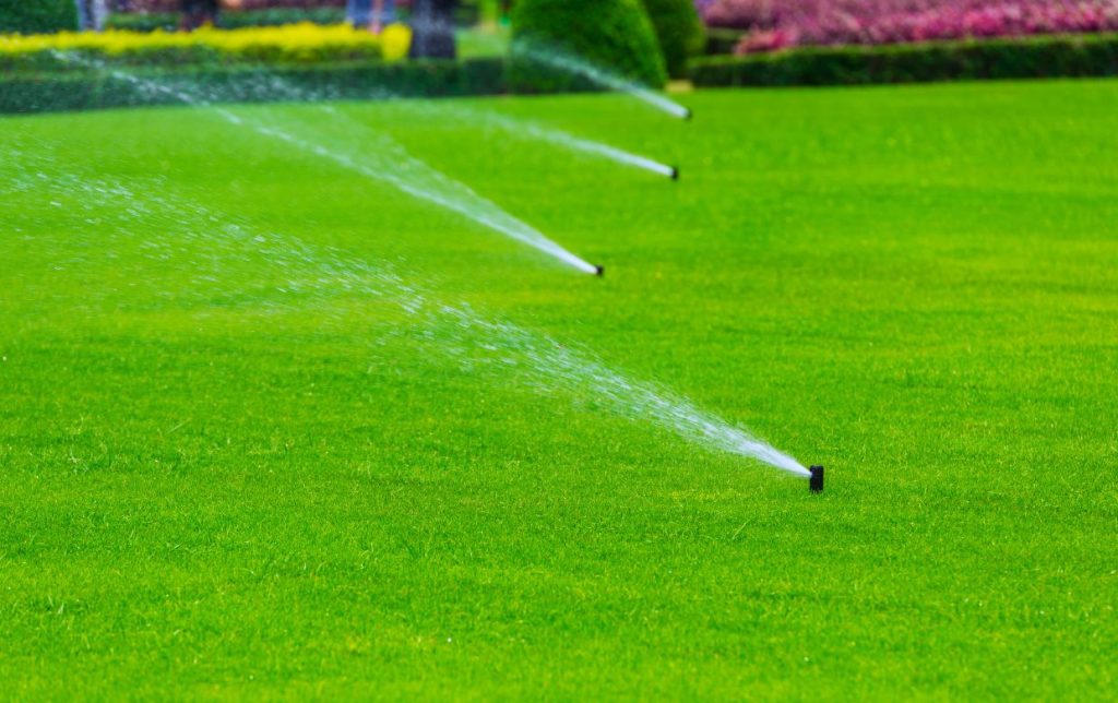 arrosage pelouse